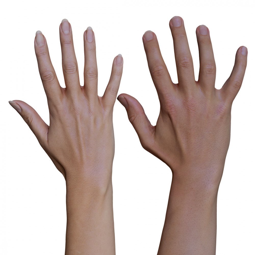 Male and Female Hand Pack